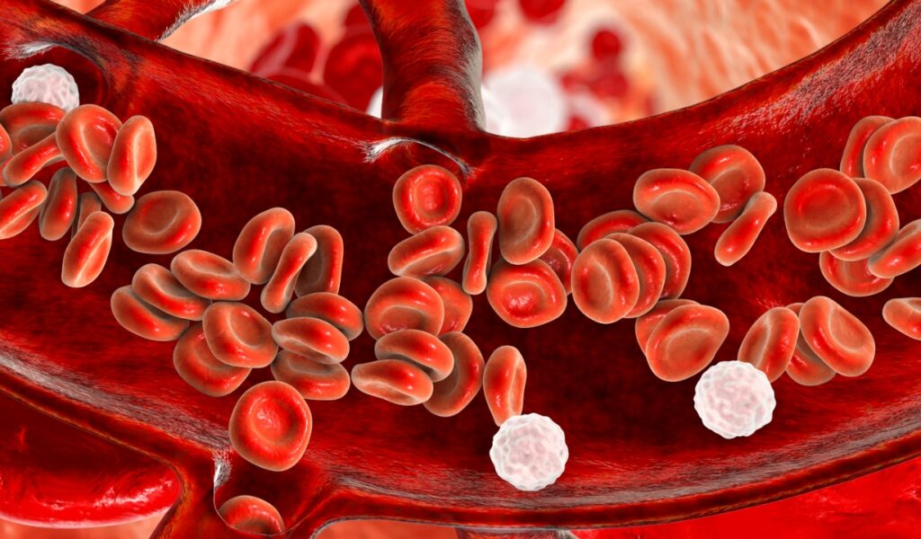 Realistic 3D view of RBCs and WBC flowing through vein, depicting cholesterol reduction benefits.