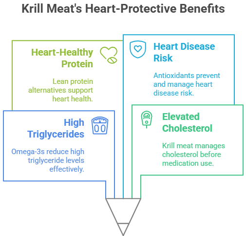 Infographic highlighting krill meat's heart benefits: heart-healthy protein, omega-3s lower triglycerides, antioxidants reduce heart disease risk, and manages cholesterol.
